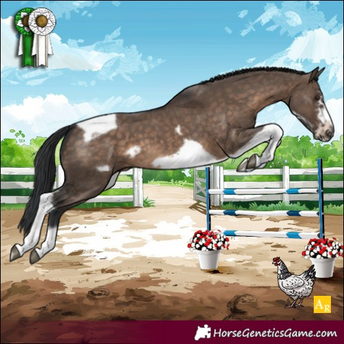 Horse Color:White Spotted Brown Dun Tobiano Frame 