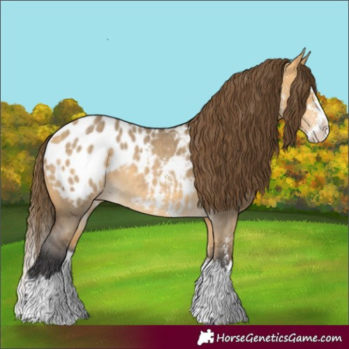 Horse Color:Buckskin Dun Sabino Splash Blanket Rabicano 
