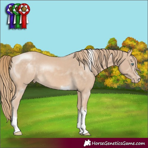 Horse Color:Perlino Tobiano Rabicano 