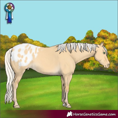 Horse Color:Silver Amber Cream Champagne Dun Varnish Rabicano