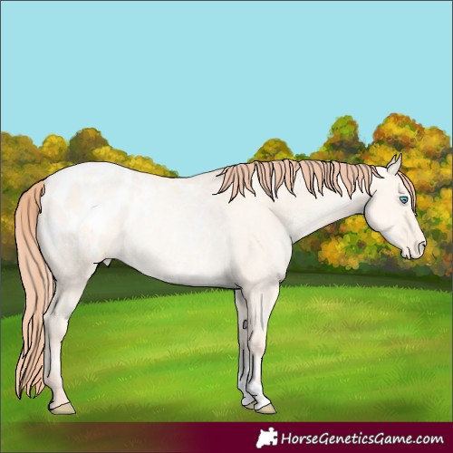 Horse Color:Classic Cream Champagne Pearl Dun Varnish Rabicano 
