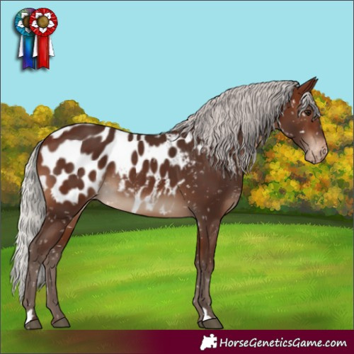 Horse Color:Silver Brown Blanket 