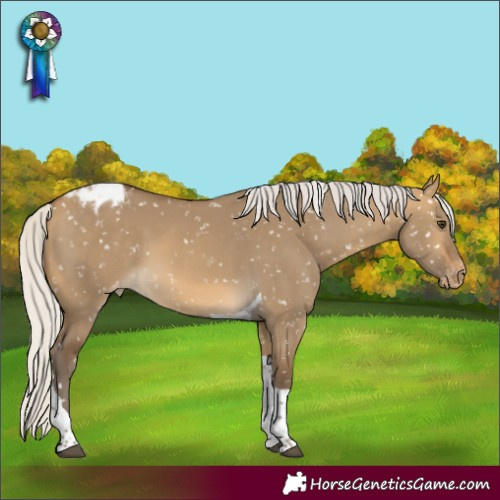 Horse Color:Silver Buckskin Dun Tobiano Snowflake Varnish