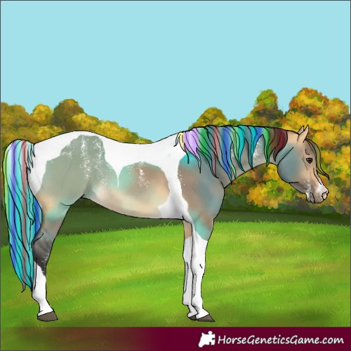 Horse Color:Powder White Painted Buckskin Dun Tobiano Rabicano 