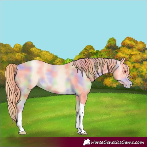 Horse Color:Nacre Buckskin Pearl Tobiano 
