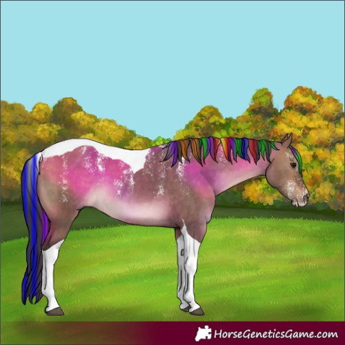 Horse Color:Powder White Painted Brown Dun Tobiano