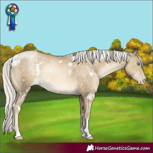 Horse Color:White Spotted Silver Smoky Black Pearl Rabicano
