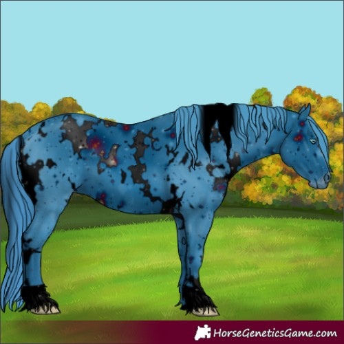 Horse Color:ERROR: UNKNOWN ANOMALY