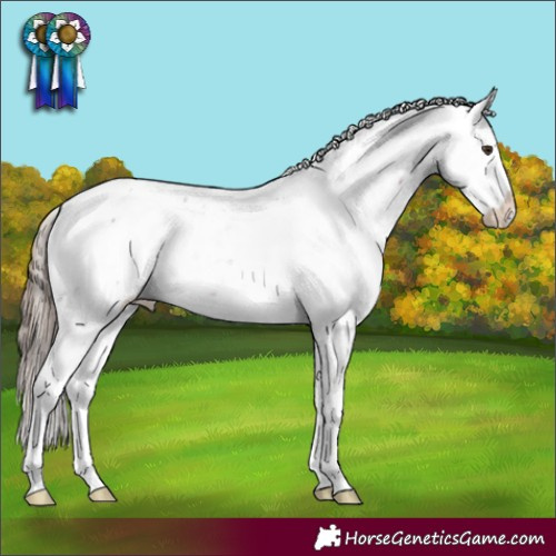 Horse Color:Liver Chestnut Sabino Rabicano 