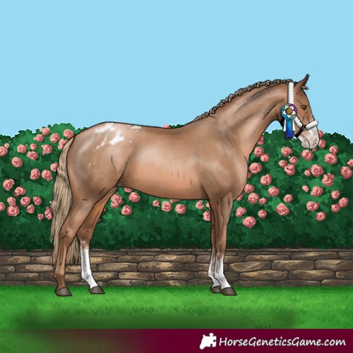 Horse Color:Liver Chestnut Pearl Sabino Varnish