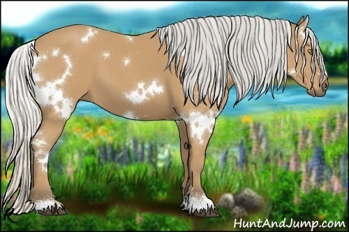 Horse Color:White Spotted Silver Buckskin 