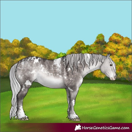 Horse Color:Powder White Platinum White Spotted Silver Brown Dun 