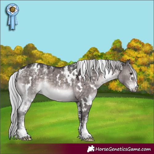 Horse Color:Powder White Platinum White Spotted Silver Brown Dun 