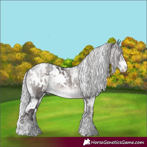 Horse Color:Powder White Platinum White Spotted Silver Brown Dun Rabicano