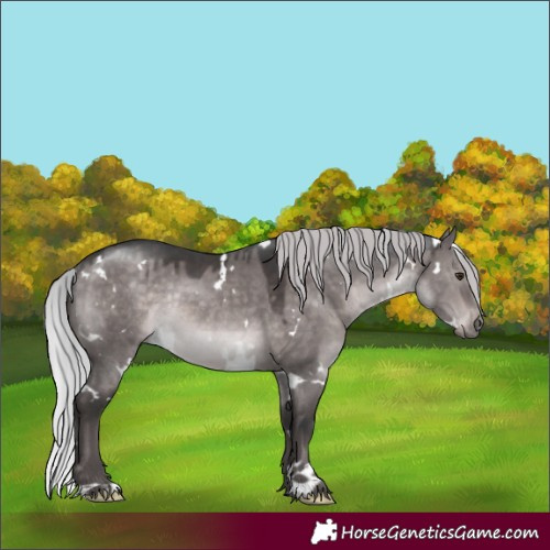 Horse Color:Platinum White Spotted Silver Brown Dun Rabicano