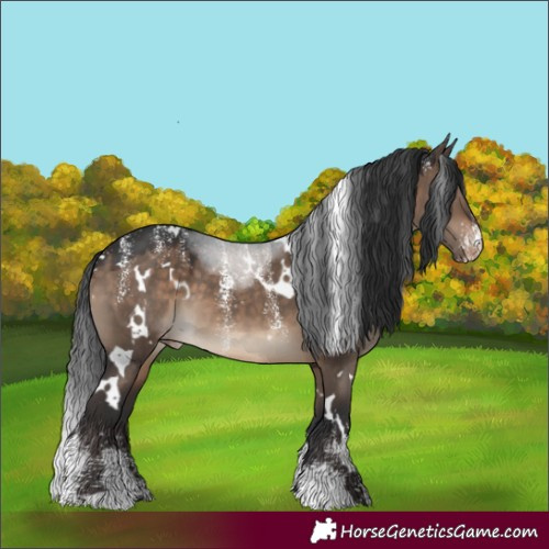 Horse Color:Powder White White Spotted Brown Dun Varnish 