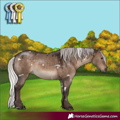 Horse Color:White Spotted Silver Brown Dun Rabicano