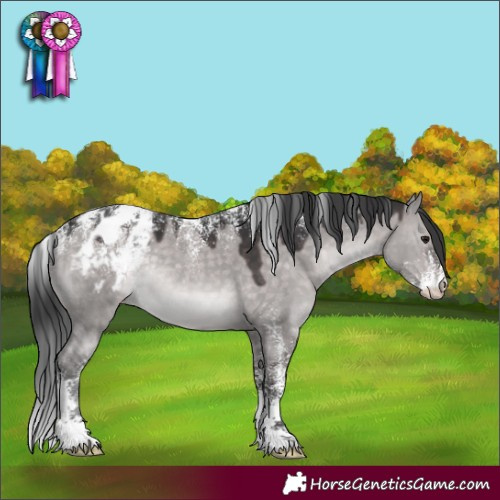 Horse Color:Powder White Platinum Brown Dun Blanket Rabicano 