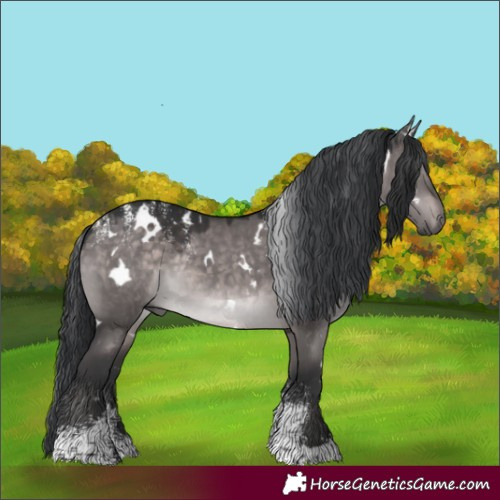 Horse Color:Powder White Platinum White Spotted Brown Dun Rabicano 