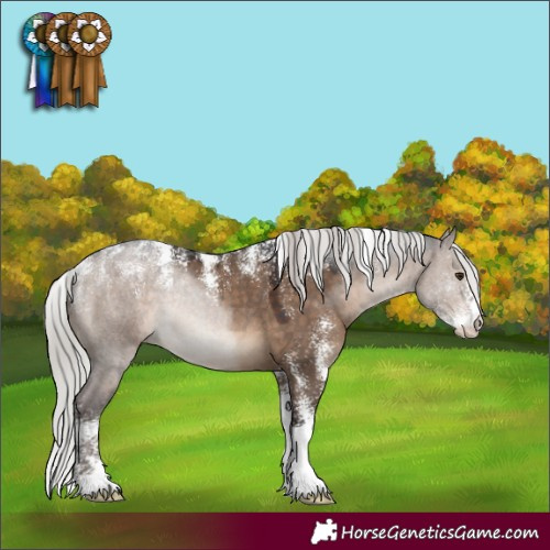 Horse Color:Powder White Silver Brown Dun Rabicano