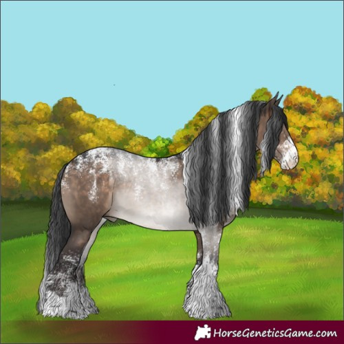Horse Color:Powder White Brown Dun