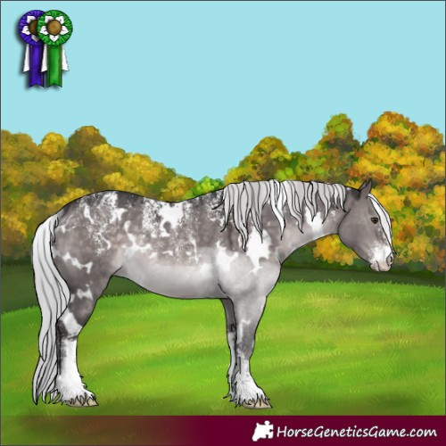 Horse Color:Powder White Platinum White Spotted Silver Brown Dun Rabicano