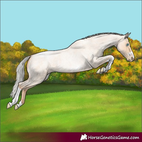 Horse Color:Silver Classic Champagne Roan Pearl Tobiano Frame 