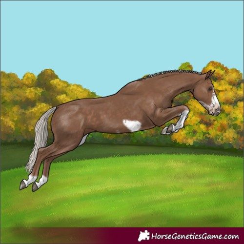 Horse Color:Silver Black Tobiano Frame 