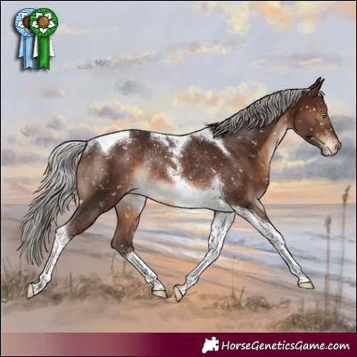 Horse Color:Silver Brown Tobiano Blanket Rabicano 