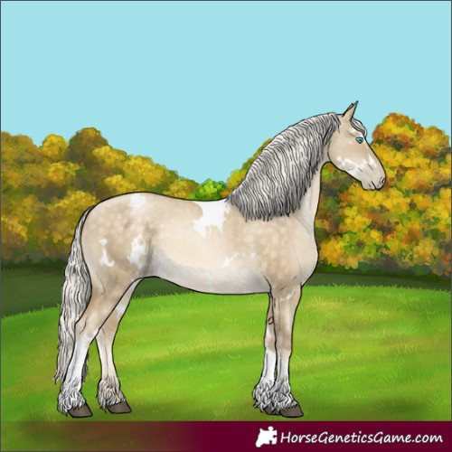 Horse Color:White Spotted Silver Brown Dun Tobiano
