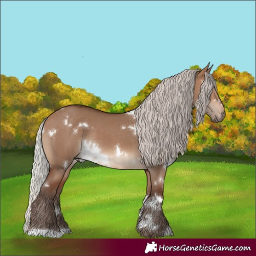 Horse Color:White Spotted Silver Brown Dun