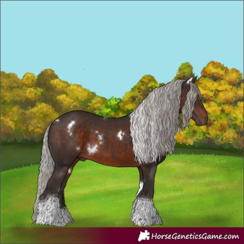 Horse Color:White Spotted Silver Brown Tobiano 