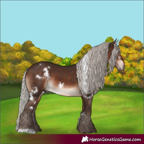 Horse Color:White Spotted Silver Brown