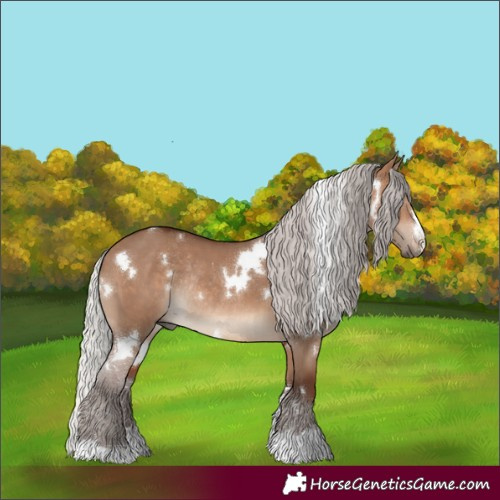 Horse Color:White Spotted Silver Brown Dun Rabicano 