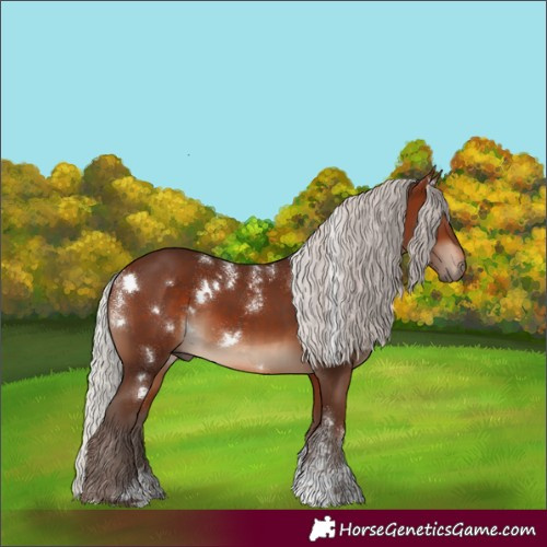 Horse Color:Powder White White Spotted Silver Brown Rabicano