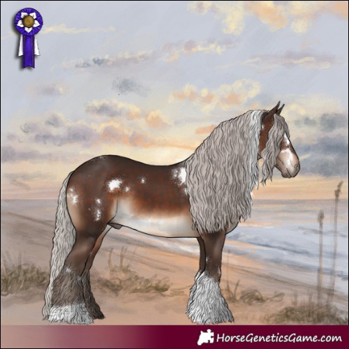 Horse Color:White Spotted Silver Brown Tobiano 