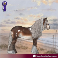 Horse Color:White Spotted Silver Brown Tobiano 