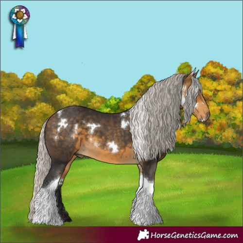 Horse Color:White Spotted Silver Buckskin Tobiano