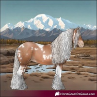 Horse Color:White Spotted Silver Brown Pearl Tobiano 