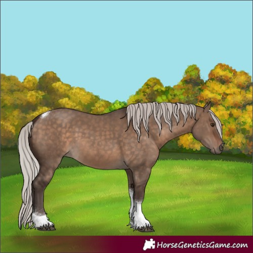 Horse Color:Silver Brown Dun Tobiano 