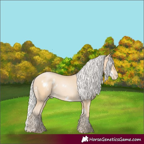 Horse Color:White Spotted Silver Buckskin Pearl