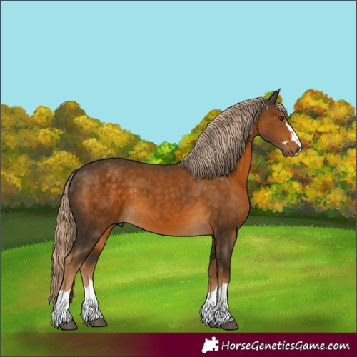 Horse Color:Chocolate Palomino