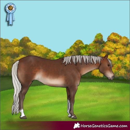 Horse Color:Silver Brown Tobiano Rabicano