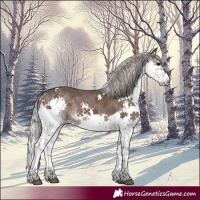 Horse Color:Silver Black Splash Tobiano 