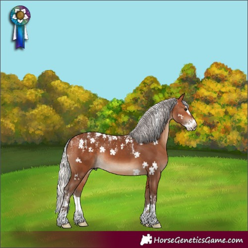 Horse Color:Powder White Silver Bay Splash Rabicano 
