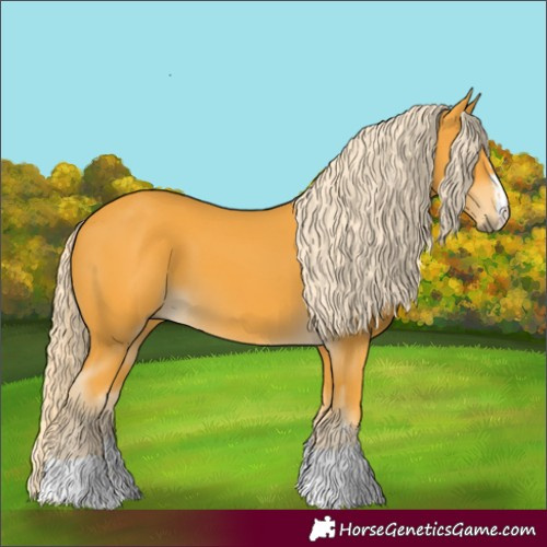 Horse Color:Palomino 