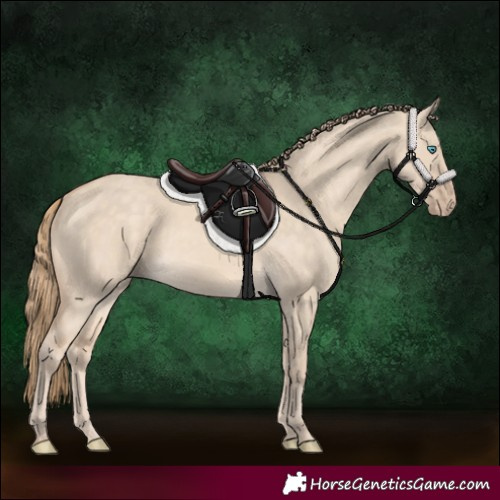 Horse Color:Perlino Dun