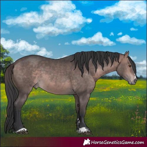 Horse Color:Platinum Bay