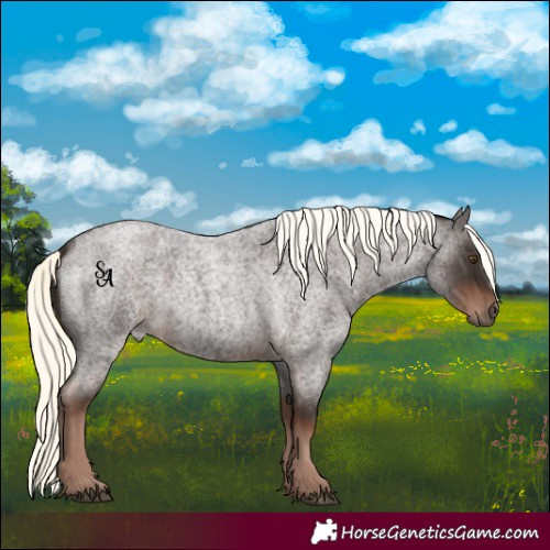 Horse Color:Liver Red Roan Mushroom
