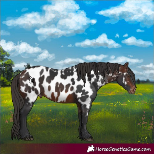 Horse Color:Brown Mushroom Near Leopard